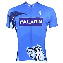 預購【ILPALADINO】男款短袖車衣 :: 聖騎士 楓葉 歷史價格詳細信息