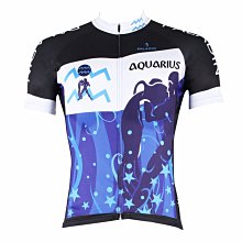 【PALADIN】抗UV超鏡面棕櫚蠟(鍍膜蠟/鏡面蠟/蠟/汽車蠟/洗車蠟G58消光拋光蠟清潔蠟) 歷史價格詳細信息