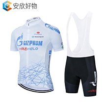 新款車隊版夏季短袖騎行服 緊身山地公路腳踏車速降服速乾透氣~安欣好物 歷史價格詳細信息