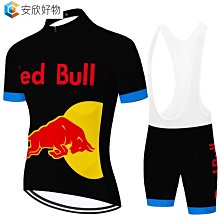 男士 Ropa Ciclismo 夏季騎行服高品質復古自行車球衣短袖自行車自行車服裝~安欣好物 歷史價格詳細信息