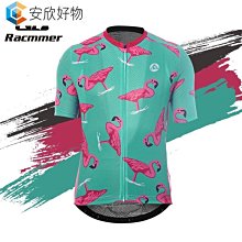 高端騎行服專業長袖套裝男山地車公路車春秋季自行車男士速干透氣 歷史價格詳細信息