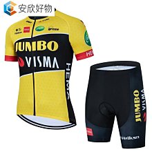 （新款）夏季短袖  透氣 騎行服 速乾 2022新品GOBIK夏季男款短袖腳踏車山地車騎行服牛奶絲戶外運動~安欣好物 歷史價格詳細信息