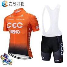 （騎行服）2020白色環法車隊版單車夏季騎行服長袖套裝快乾料山地腳踏車服裝~安欣好物 歷史價格詳細信息
