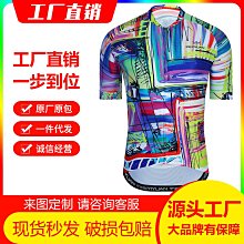 男士騎行服騎行服短袖騎行服 MTB ropa Ciclismo 透氣 maillot 戶外腳踏車服~安欣好物 歷史價格詳細信息