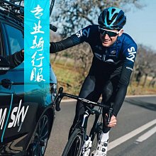山地公路車男士專業團隊自行車騎行服越野公路山地車單車自行車騎行服 騎行短袖 騎行衫 單車服 歷史價格詳細信息