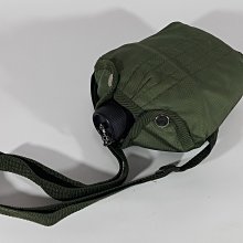 [銀九藝] 水墨字畫 國畫 李如霖 花卉孔雀 (lin) 歷史價格詳細信息