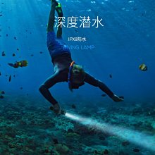 航母殺手~1/72~前蘇聯Kh-22空射大型遠程反艦飛彈(凹模,AS-4&quot;Kitchen&quot;,附台車/發射架) 歷史價格詳細信息