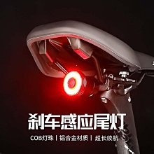 自行車燈尾燈公路山地車前燈單車配件騎行裝備警示usb充電夜騎燈自行車燈 車前燈 車尾燈 剎車燈 警示燈 歷史價格詳細信息