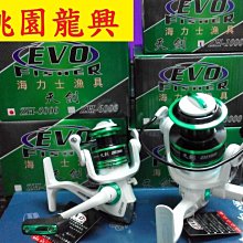 海力士EVO 紫電 小烏龜   Z200右手版/左手版任ㄧ[Haofoo] 歷史價格詳細信息