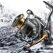 【欣の店】DAIWA 高級路亞 DEKA PEANUT II DR 花生米 60mm/15.5g 4種造型 歷史價格詳細信息