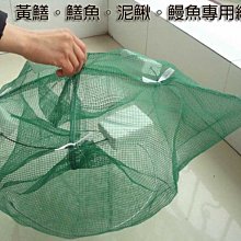 【金輝守護】金棕蠟洗車水蠟 4入組 鑽石般光澤 車漆保護專家 歷史價格詳細信息