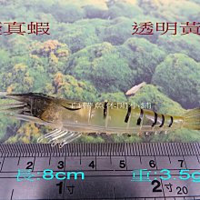AP-006 迷你甜心糖 水魔方旅充頭 5V/1A 萬用充電器 USB電源充電器 台灣安規認證 歷史價格詳細信息
