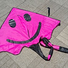 [翔飛戶外休閒]迷彩戰鬥機造型風箏---玻璃纖維骨架，超好飛風箏-- 尼龍布風箏區【直購下標區】 歷史價格詳細信息