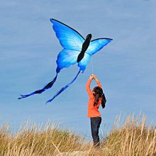 下殺 濰坊風箏兒童初學者微風易飛成人大型超大手工大草原風~滿減 優惠 限時 歷史價格詳細信息