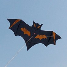 下殺 濰坊風箏兒童初學者微風易飛成人大型超大手工大草原風~滿減 優惠 限時 歷史價格詳細信息