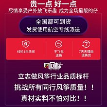 特技風箏風風箏年新款國潮高端微風易飛大人專用兒童手持輪盤 歷史價格詳細信息