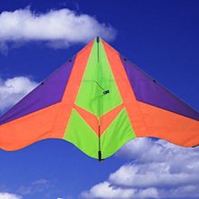 【風箏小舖】[風箏小舖] 軟體風箏-章魚 軟體 風箏 (紅,黑,桔,紫,蘭,綠,粉)  歡迎批發團購可另有優惠!! 歷史價格詳細信息