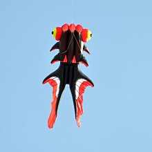 無骨抗起球純棉襪子男士防臭吸汗運動襪春夏抑菌透氣中筒襪子 歷史價格詳細信息