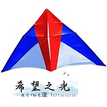 特技風箏王侉子風箏 大型三角夜光風箏傘布碳桿成人初學者微風抗大風包飛 歷史價格詳細信息