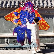 特技風箏金魚風箏大人專用抗大風高檔輪盤兒童創意微風易飛年新款 歷史價格詳細信息
