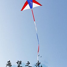 特技風箏王侉子風箏 大型三角夜光風箏傘布碳桿成人初學者微風抗大風包飛 歷史價格詳細信息