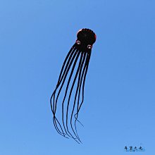 特技風箏風箏軟體風箏飛魚風箏新款風箏無骨架高檔風箏百特風箏 歷史價格詳細信息