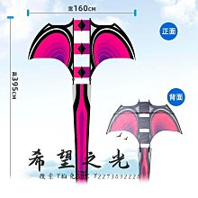 特技風箏年新款龍形風箏大人專用高檔兒童微風易飛創意國潮大風箏 歷史價格詳細信息