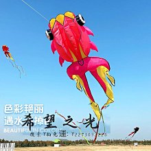 特技風箏金魚風箏新款紙鳶國潮大人專用高檔高端微風易飛拍照道具擺件 歷史價格詳細信息