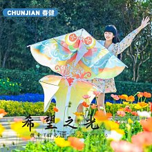 特技風箏進口凱夫拉風箏線杜邦絲合股編織500 1000米3號大型特技高端專用 歷史價格詳細信息
