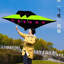 特技風箏飛悅傘布蛇風箏彩色青蛇新款成人大型微風易飛初學者兒童長尾 歷史價格詳細信息