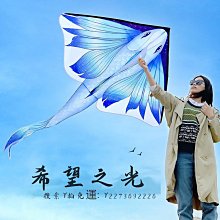 特技風箏金魚風箏新款紙鳶國潮大人專用高檔高端微風易飛拍照道具擺件 歷史價格詳細信息