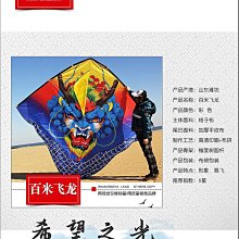 特技風箏大型成人龍頭蜈蚣風箏3d立體手繪 手工長串龍風箏定制定做 歷史價格詳細信息
