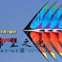 特技風箏風箏山東 個性文字定制向錢沖網紅同款新手公園廣場特色風箏 歷史價格詳細信息