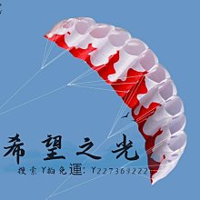 特技風箏風箏 百特牌傳統龍頭蜈蚣風箏龍風箏多尺寸可裝飾可放飛 歷史價格詳細信息