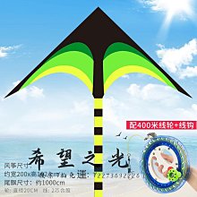 特技風箏風箏 特技風箏閃電送放飛工具 適合初學者 速度快 響聲大 歷史價格詳細信息