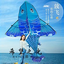 特技風箏錦鯉風箏大人專用兒童微風易飛成人大號高級網紅新款 歷史價格詳細信息