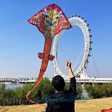 特技風箏龍形風箏兒童微風易飛年新款翼龍卡通紙鳶風爭網紅色抗風大人 歷史價格詳細信息