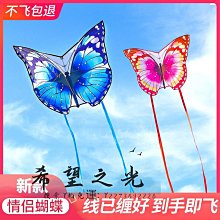特技風箏網紅風箏金魚兒童微風易飛大小型高端新款手持線輪盤成人專用 歷史價格詳細信息