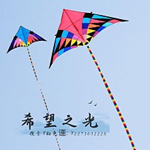 特技風箏平穩易飛永健飛機風箏大人專用大型專業級隱形戰斗機高檔傘布特大 歷史價格詳細信息