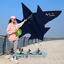 特技風箏風箏大人專用錦鯉網紅大型高檔微風易飛年新款6米大風箏 歷史價格詳細信息