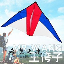 特技風箏王侉子風箏 大型三角夜光風箏傘布碳桿成人初學者微風抗大風包飛 歷史價格詳細信息