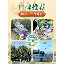特技風箏新款國潮網紅卡通網紗藍蝴蝶微風易飛手持線輪小兒童風箏大人專用 歷史價格詳細信息
