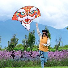 風箏兒童成人十米大草原拼接風箏簡單易飛初學者超大型可批發  露天市集  全台最大的網路購物市集 歷史價格詳細信息