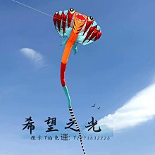 特技風箏金魚風箏新款紙鳶國潮大人專用高檔高端微風易飛拍照道具擺件 歷史價格詳細信息