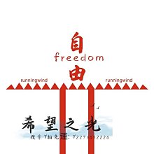 復古會飛的海鷗空中吊飾民宿懸掛木製創意掛飾兒童房門簾掛件禮物 歷史價格詳細信息