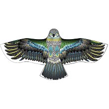 高檔風律牌易學排笛16管18管學生教學專用排簫初學者入門C調排笛 歷史價格詳細信息