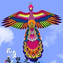 風箏兒童成人十米大草原拼接風箏簡單易飛初學者超大型可批發  露天市集  全台最大的網路購物市集 歷史價格詳細信息