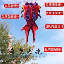 特技風箏金魚風箏大人專用抗大風高檔輪盤兒童創意微風易飛年新款 歷史價格詳細信息