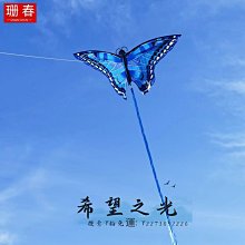 特技風箏年新款長尾巴國潮復古風鳳凰風箏網紅微風易飛新手初學者 歷史價格詳細信息
