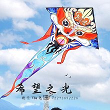 特技風箏新款網紅飛悅1.6小彩燕1.1小輕體風箏微風王PA31專業大人兒童風箏 歷史價格詳細信息